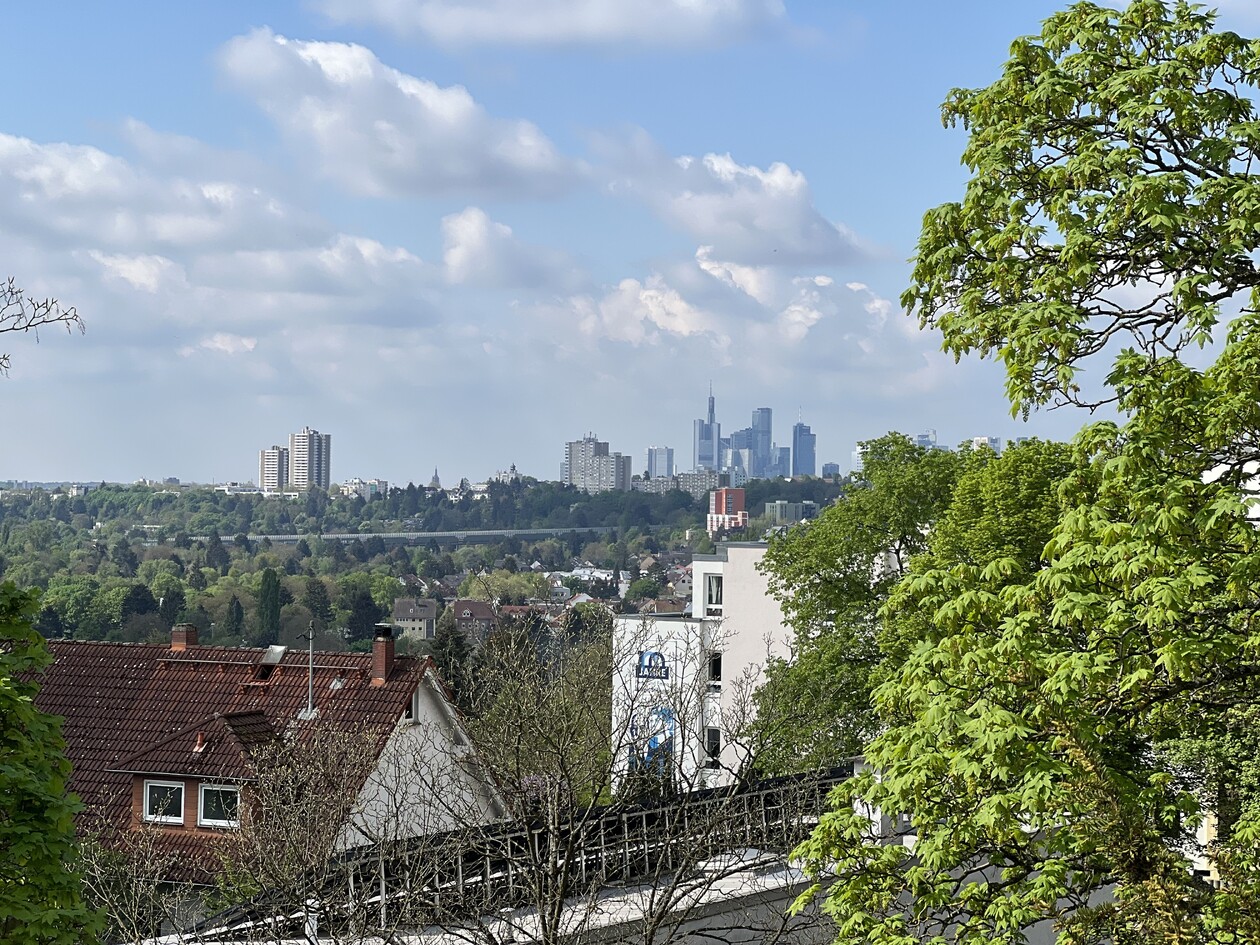 Skyline von Frankfurt am Horizont bei Tageslicht., fotografiert von der Dachterrasse des Mediacampus. Im Vordergrund sind B&auml;ume.